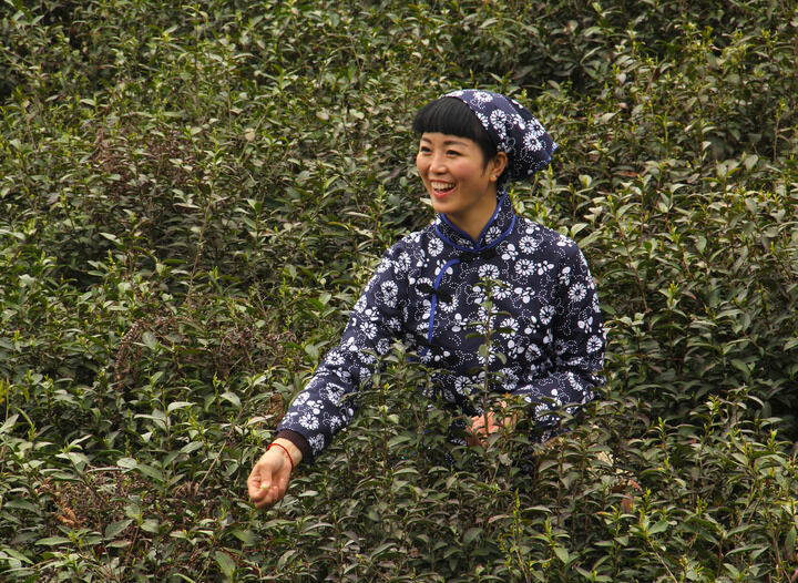 红酒秘密